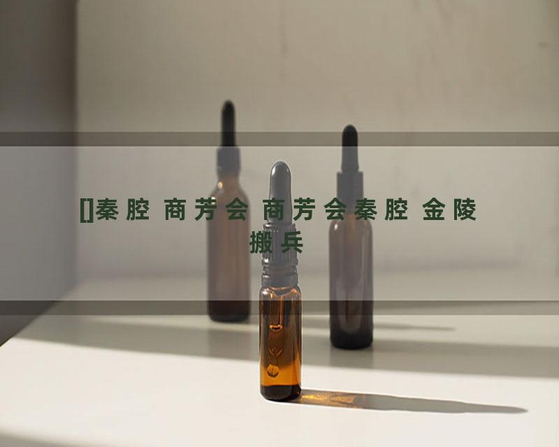 []秦腔 商芳会 商芳会秦腔 金陵搬兵