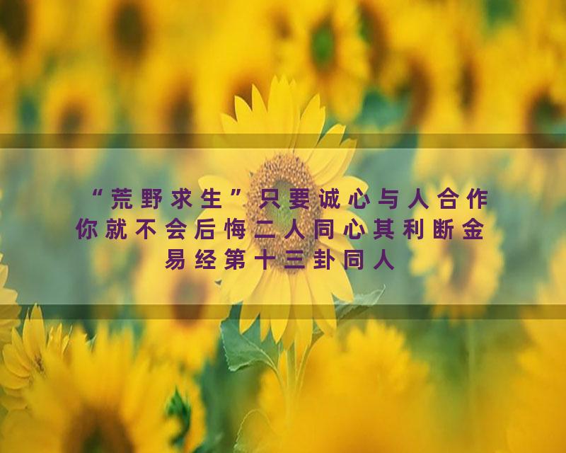 “荒野求生”只要诚心与人合作你就不会后悔二人同心其利断金易经第十三卦同人