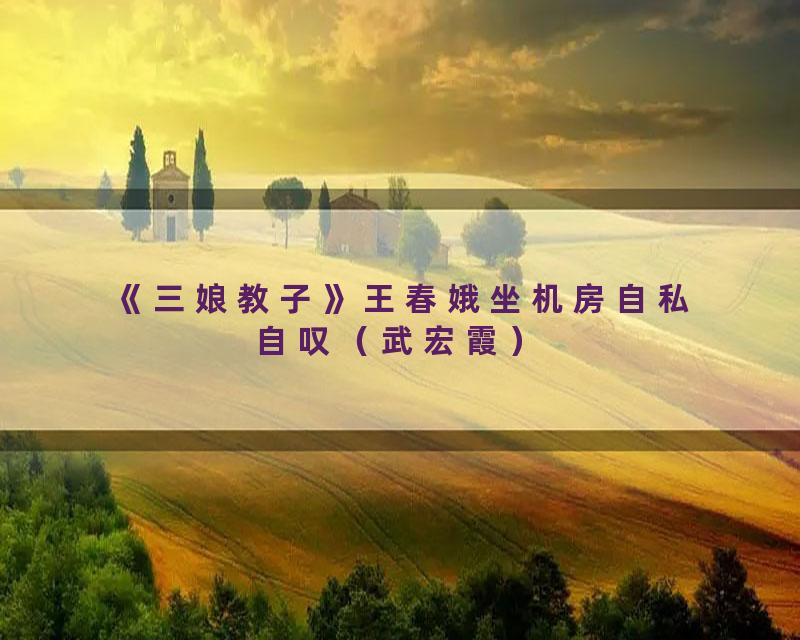 《三娘教子》王春娥坐机房自私自叹（武宏霞）