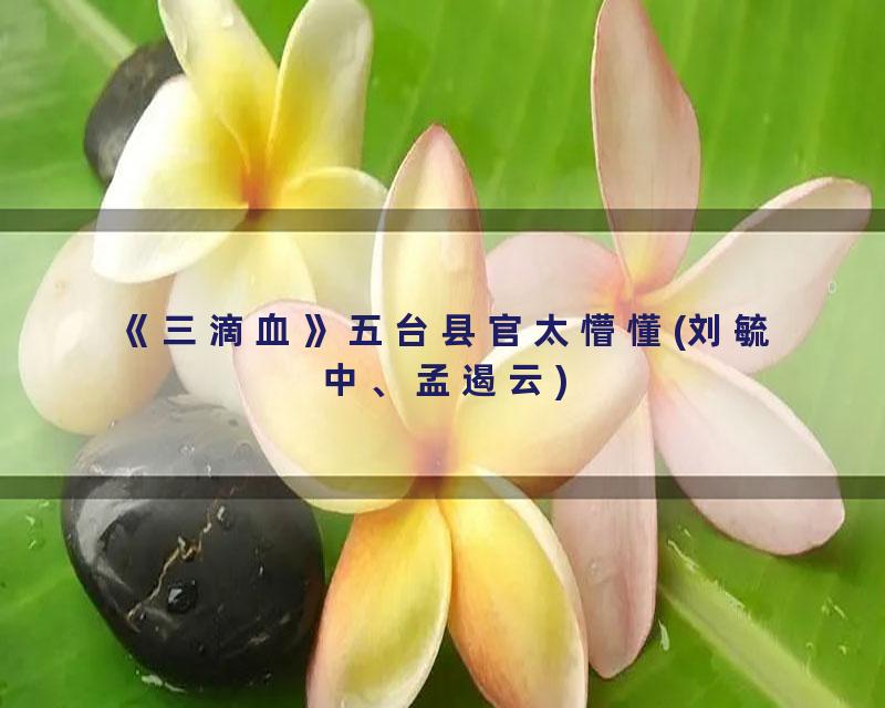 《三滴血》五台县官太懵懂(刘毓中、孟遏云)