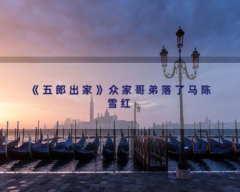 《五郎出家》众家哥弟落了马陈雪红