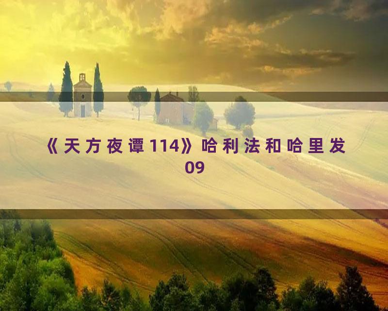 《天方夜谭114》哈利法和哈里发09
