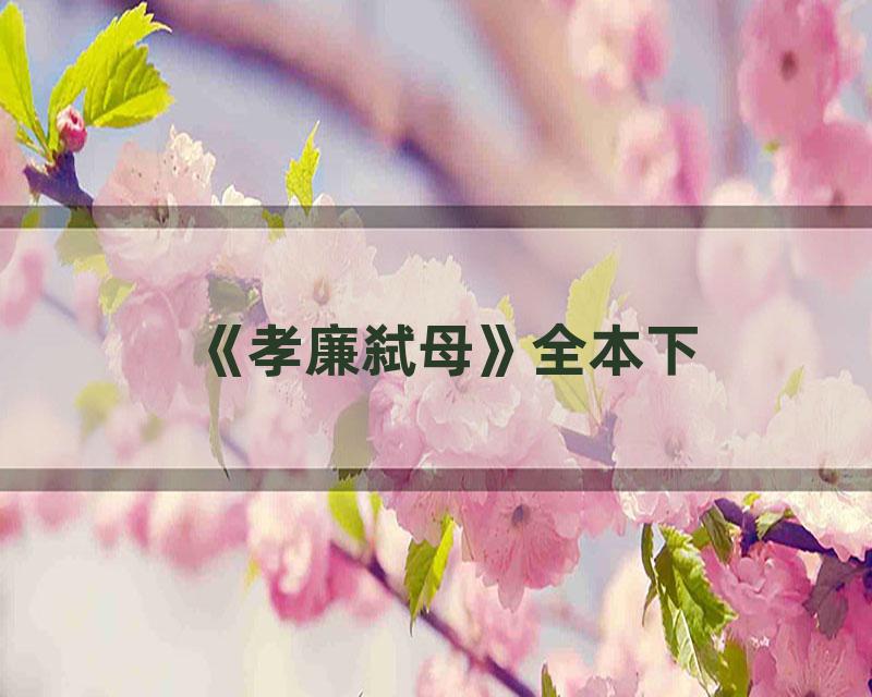 《孝廉弑母》全本下