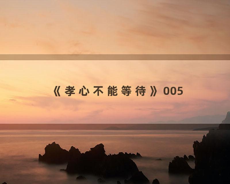 《孝心不能等待》005