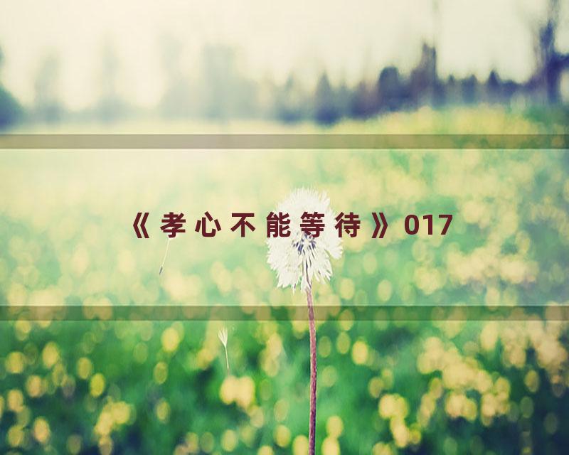 《孝心不能等待》017