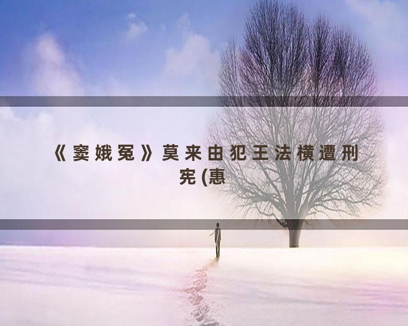 《窦娥冤》莫来由犯王法横遭刑宪(惠