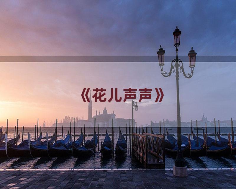 《花儿声声》