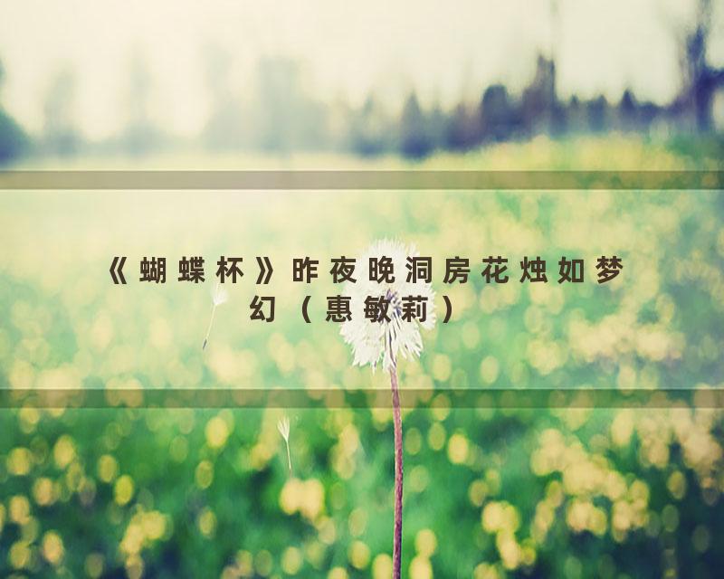 《蝴蝶杯》昨夜晚洞房花烛如梦幻（惠敏莉）