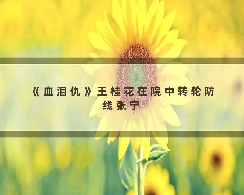 《血泪仇》王桂花在院中转轮防线张宁