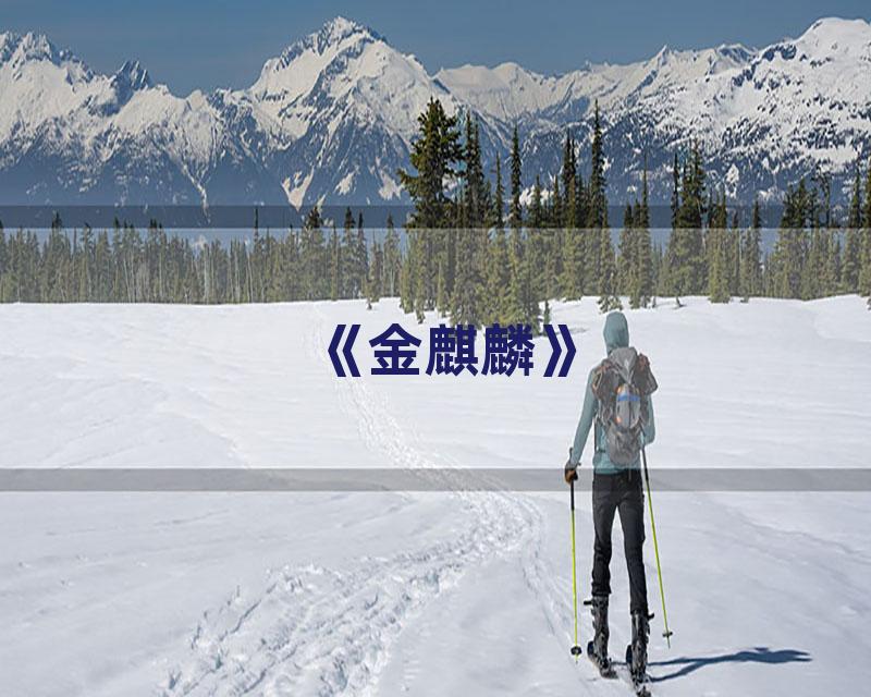 《金麒麟》
