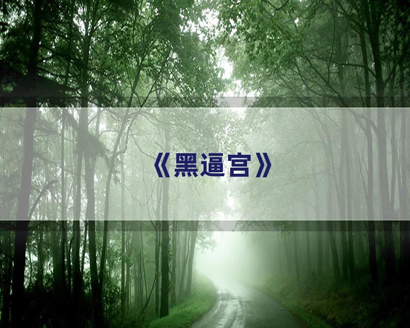 《黑逼宫》
