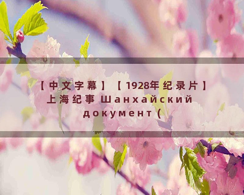 【中文字幕】【1928年纪录片】上海纪事 Шанхайский документ (1928)_高清 1080P