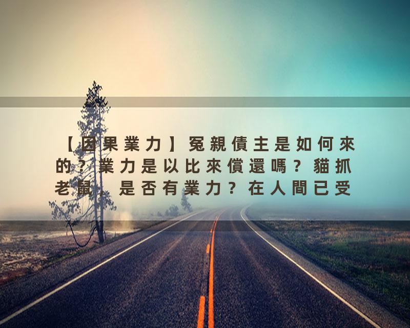 【因果業力】冤親債主是如何來的？業力是以比來償還嗎？貓抓老鼠，是否有業力？在人間已受法律制裁，到陰間還需要受處罰嗎？…