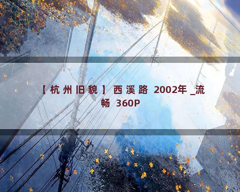 【杭州旧貌】西溪路 2002年_流畅 360P
