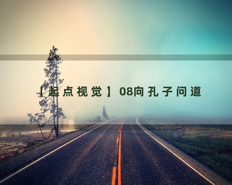 08向孔子问道
