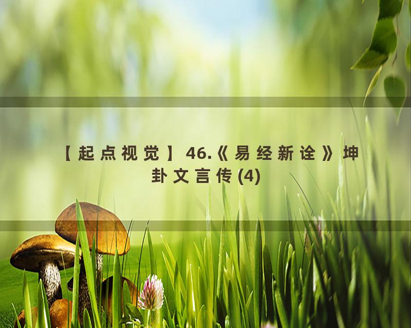 46.《易经新诠》坤卦文言传(4)