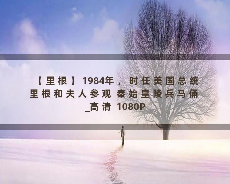【里根】1984年，时任美国总统里根和夫人参观 秦始皇陵兵马俑_高清 1080P