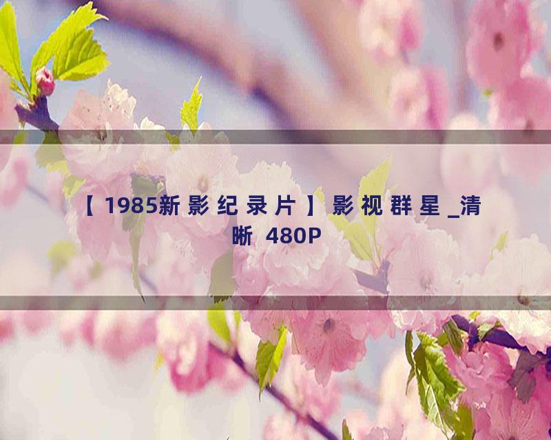 【1985新影纪录片】影视群星_清晰 480P