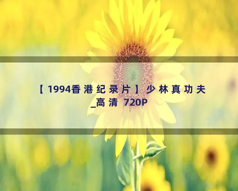 【1994香港纪录片】少林真功夫_高清 720P