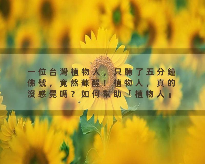 一位台灣植物人，只聽了五分鐘佛號，竟然蘇醒！植物人，真的沒感覺嗎？如何幫助「植物人」脫離困境？三位植物人真實故事