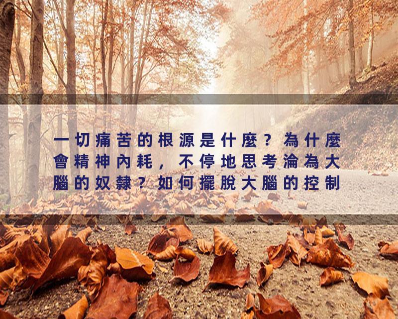 一切痛苦的根源是什麼？為什麼會精神內耗，不停地思考淪為大腦的奴隸？如何擺脫大腦的控制？