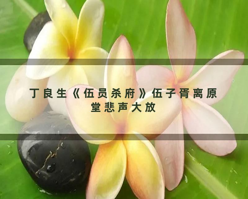 丁良生《伍员杀府》伍子胥离原堂悲声大放