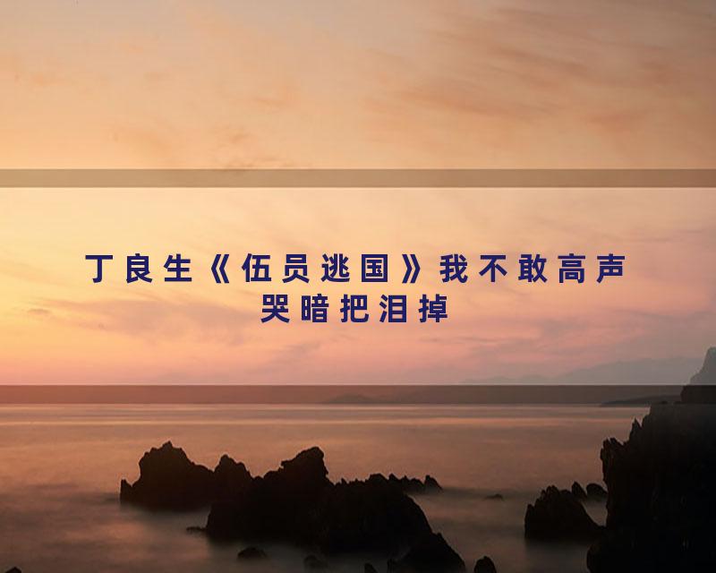 丁良生《伍员逃国》我不敢高声哭暗把泪掉