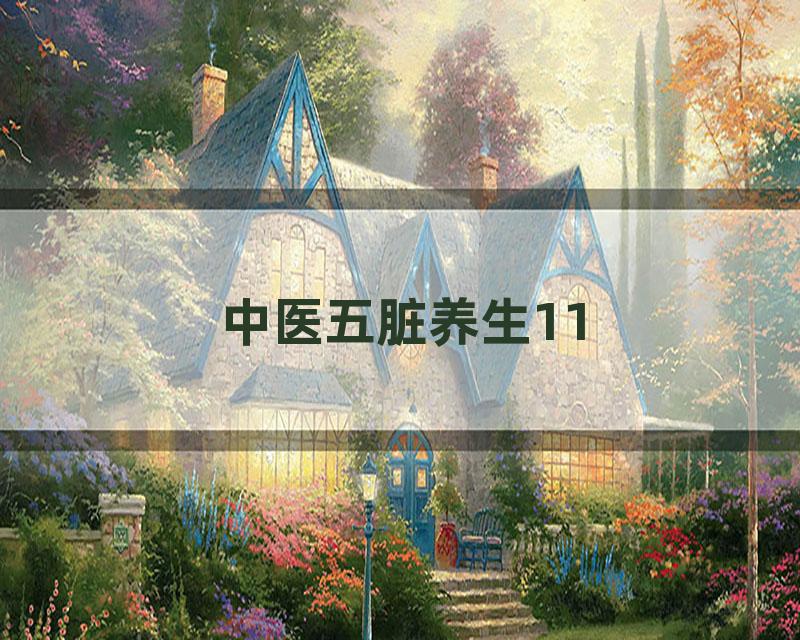 中医五脏养生11