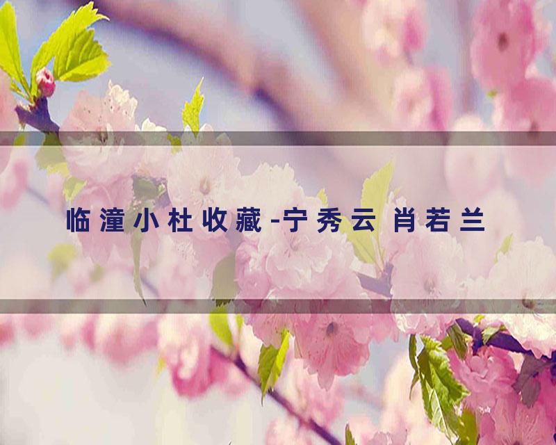 临潼小杜收藏-宁秀云 肖若兰