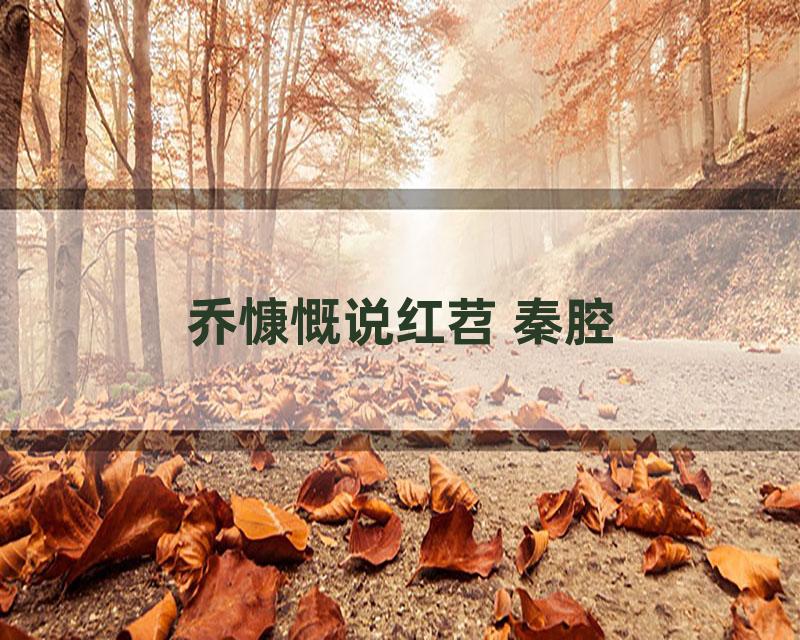 乔慷慨说红苕 秦腔