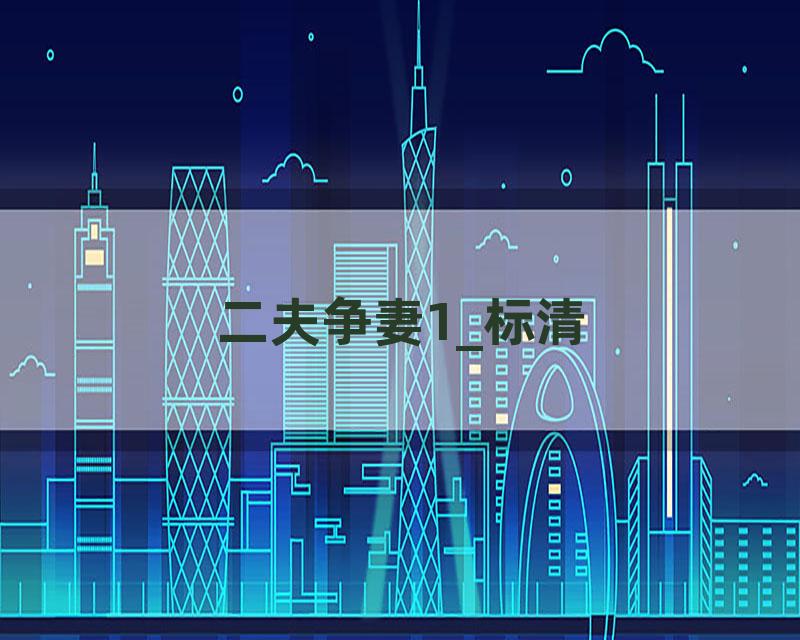 二夫争妻1_标清