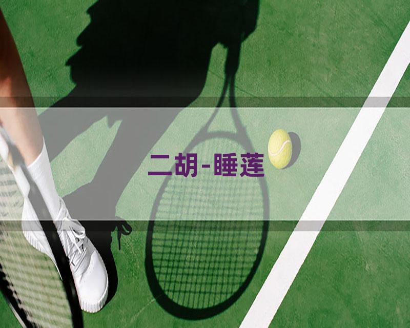 二胡-睡莲