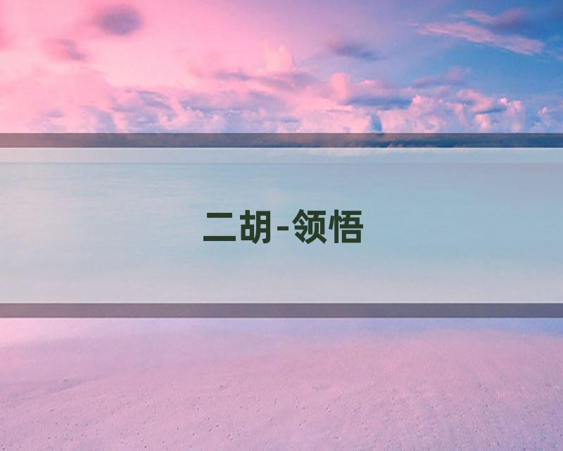 二胡-领悟