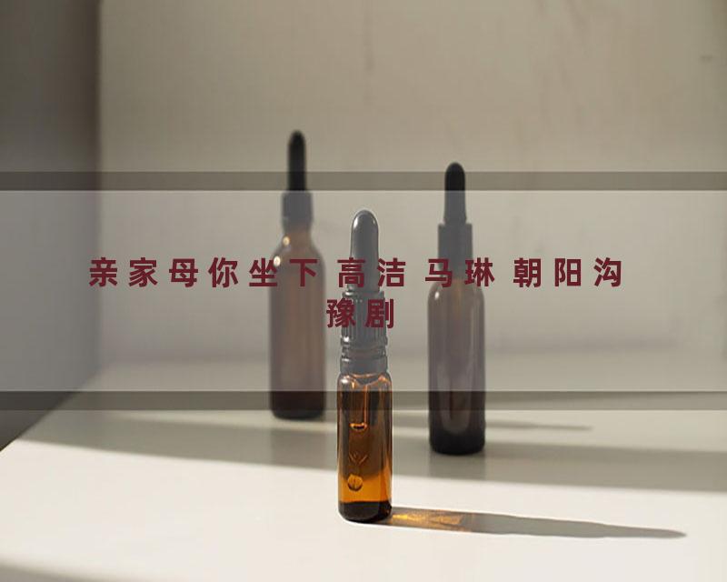 亲家母你坐下 高洁 马琳 朝阳沟 豫剧