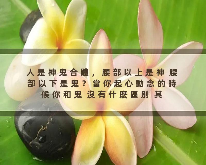 人是神鬼合體，腰部以上是神 腰部以下是鬼？當你起心動念的時候你和鬼 沒有什麽區別 其实你和神的距離就在一念之間。