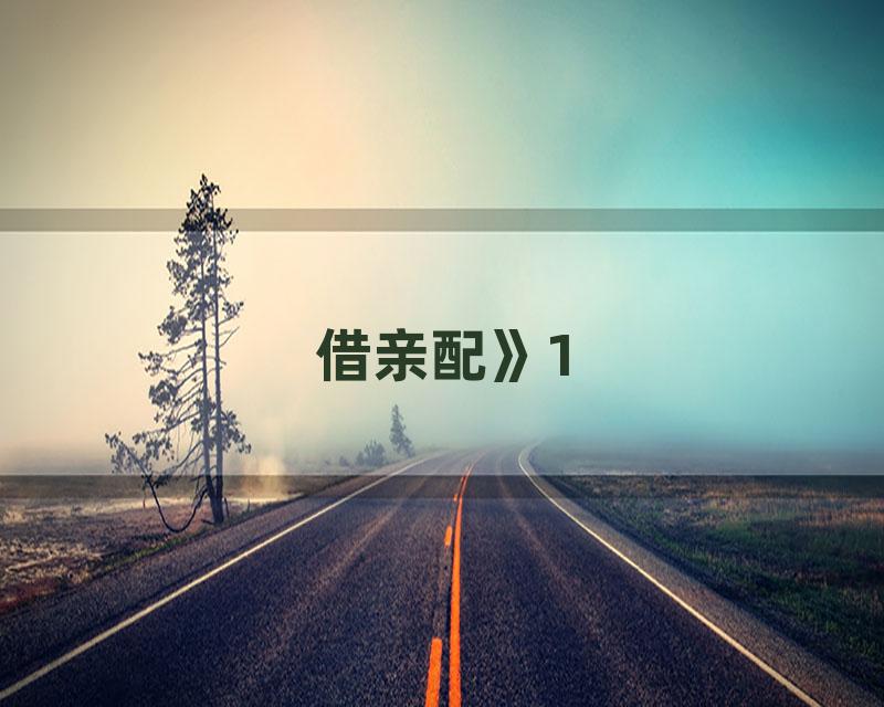 借亲配》1