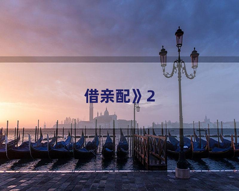 借亲配》2
