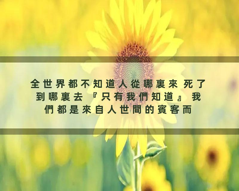 全世界都不知道人從哪裏來 死了到哪裏去 『只有我們知道』 我們都是來自人世間的賓客而已