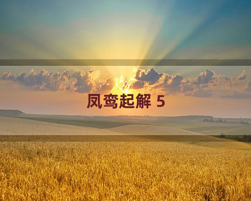 凤鸾起解 5