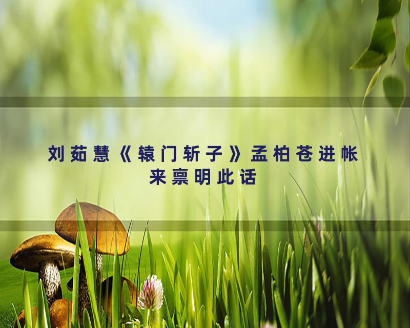 刘茹慧《辕门斩子》孟柏苍进帐来禀明此话