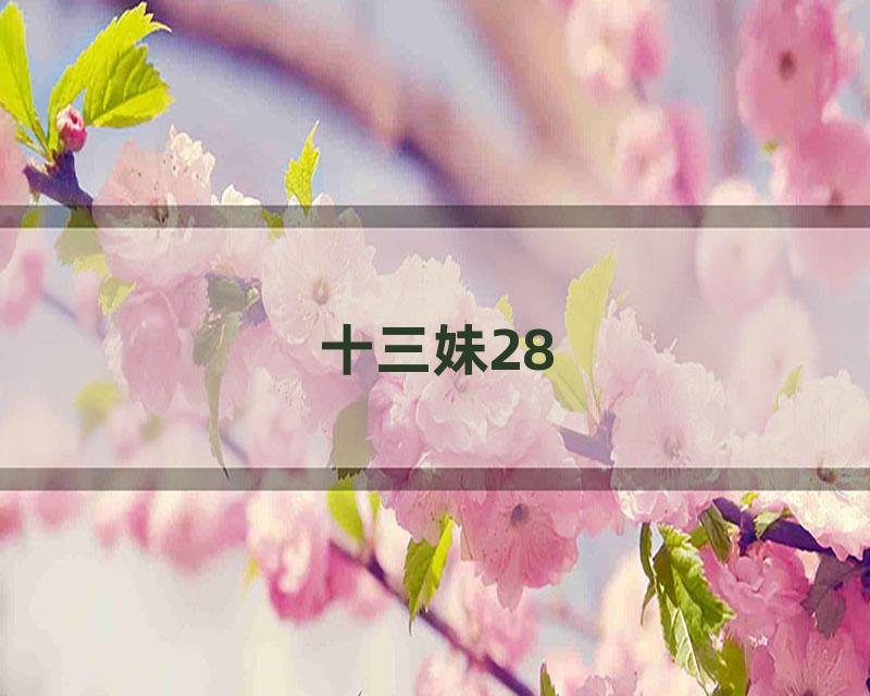 十三妹28