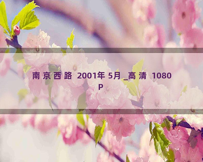 南京西路 2001年5月_高清 1080P
