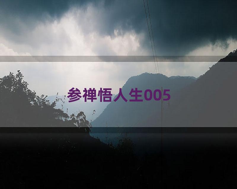 参禅悟人生005
