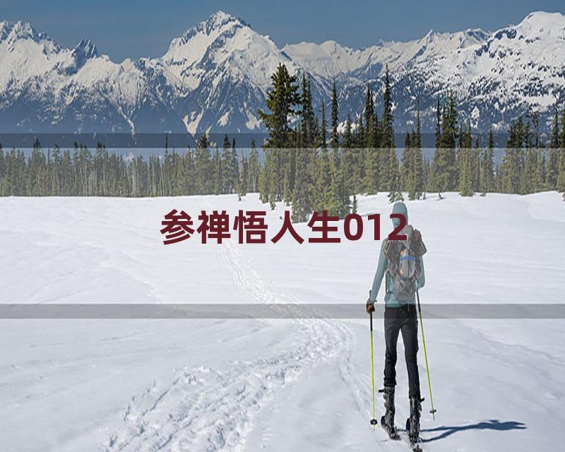 参禅悟人生012