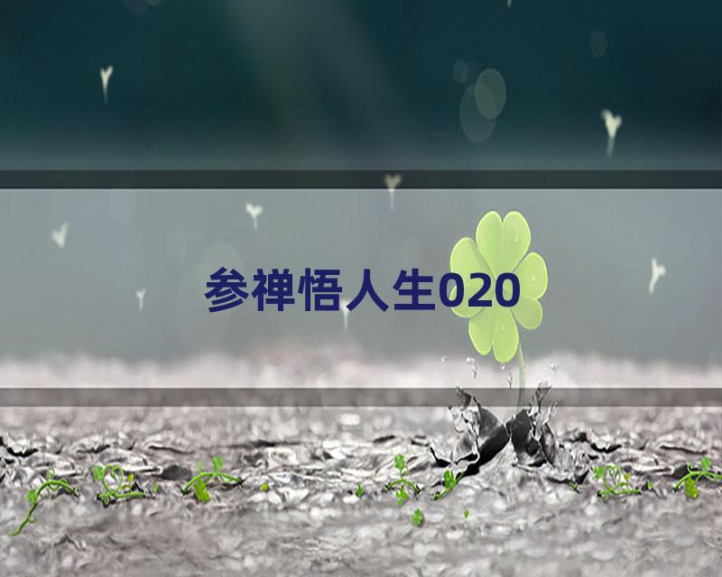 参禅悟人生020