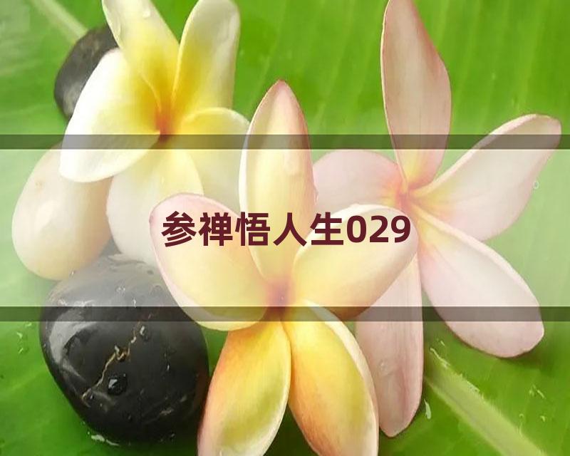 参禅悟人生029