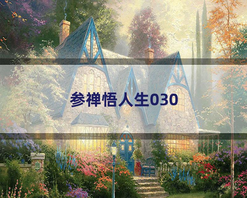 参禅悟人生030
