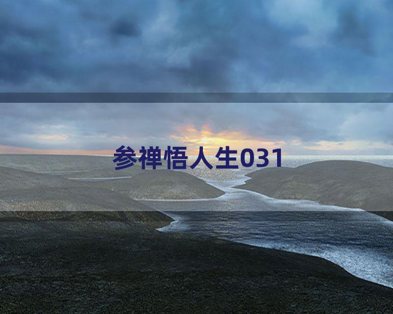 参禅悟人生031