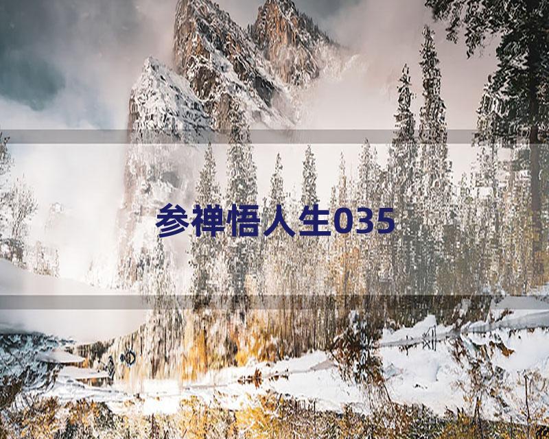 参禅悟人生035