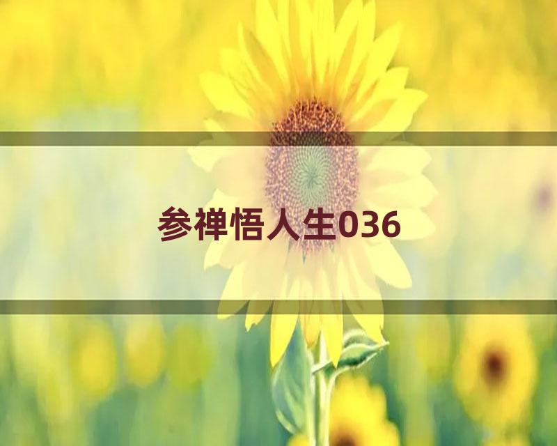 参禅悟人生036